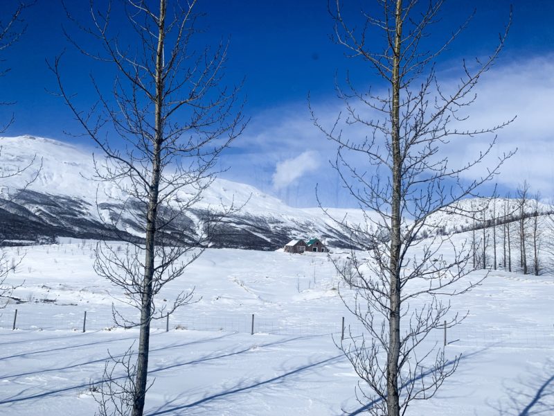 ICELAND LAND OF CONTRASTS