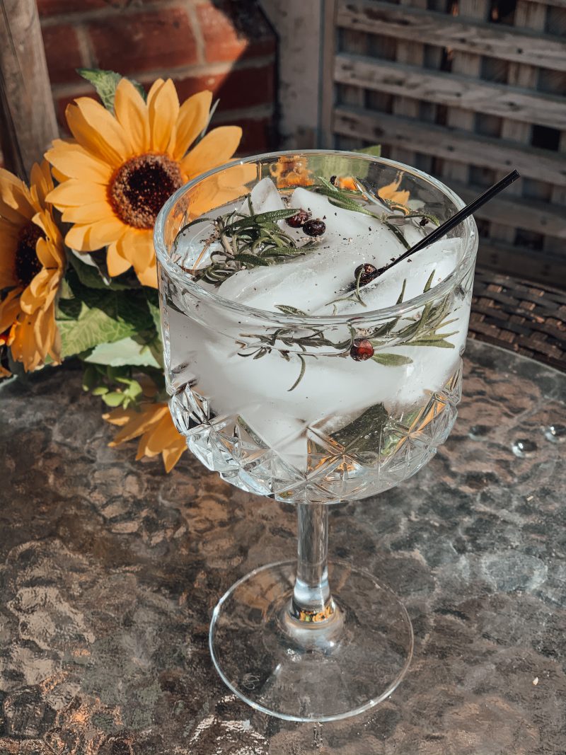 5 REFRESHING GINS &amp; TONIC COCKTAIL RECIPES YOU MUST TRY