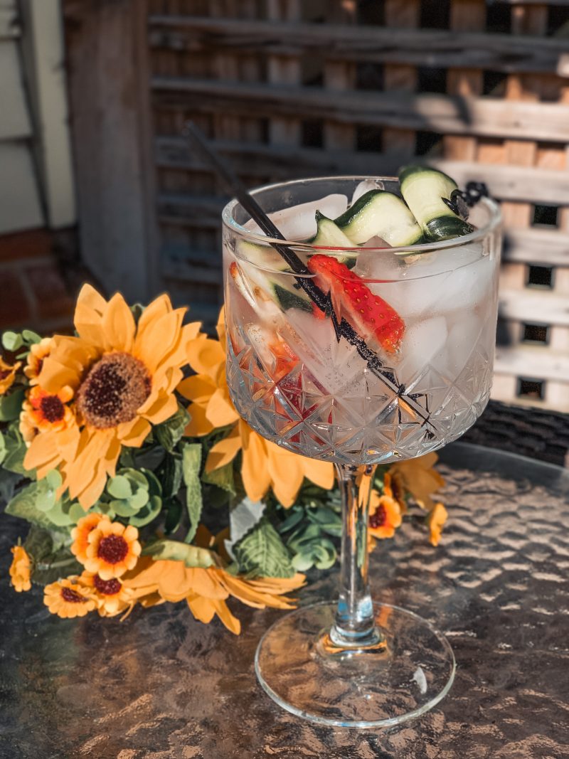 5 REFRESHING GINS &amp; TONIC COCKTAIL RECIPES YOU MUST TRY