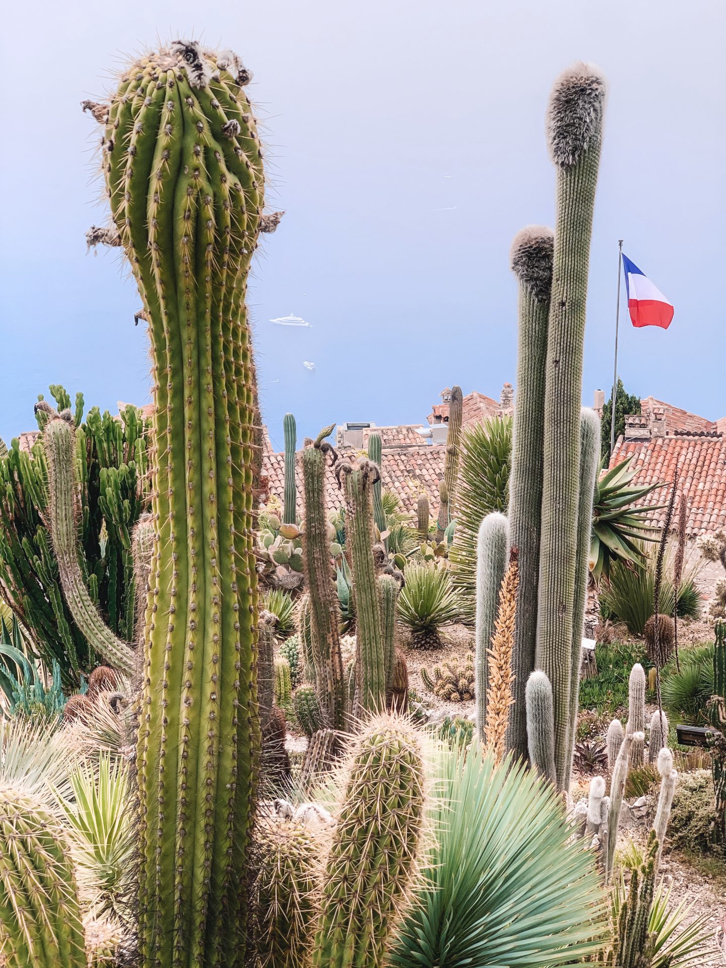 Jardin Botanique d’Èze (botanical gardens), Nice, France