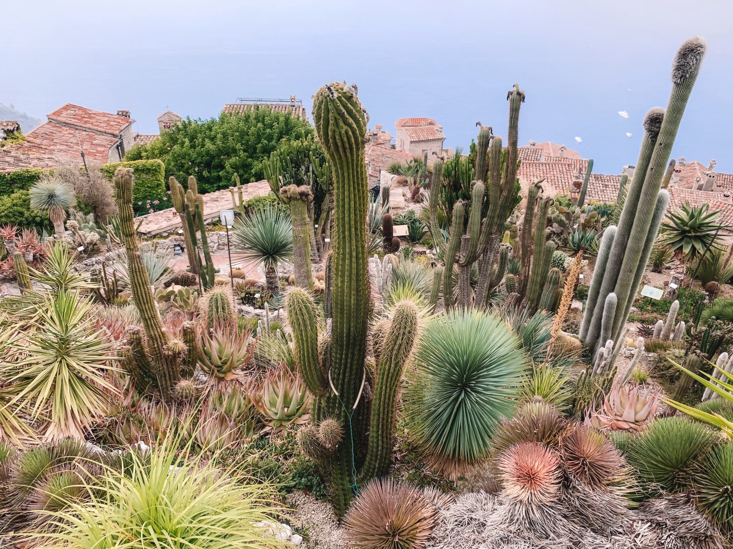 Jardin Botanique d’Èze (botanical gardens), Nice, France