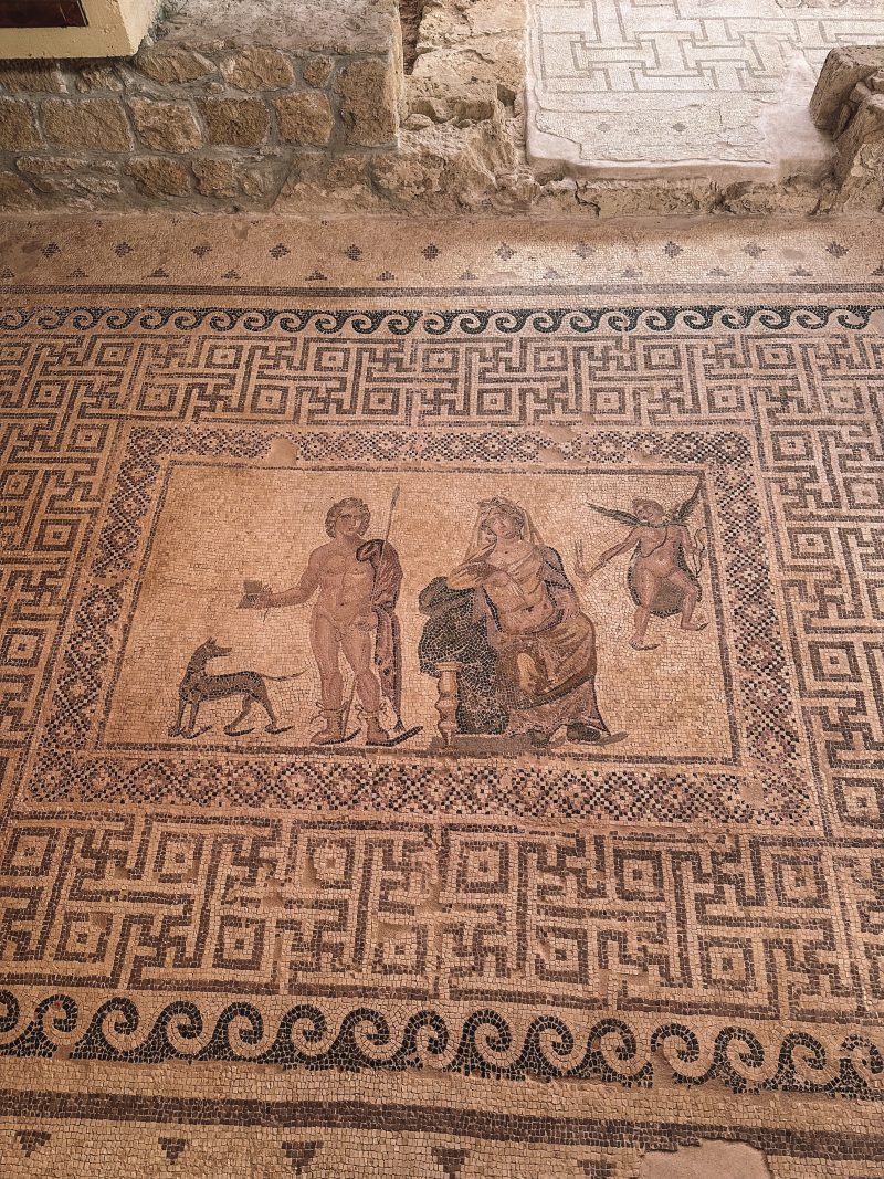 Kato Paphos Archaeological Park Mosaics, Cyprus, Paphos