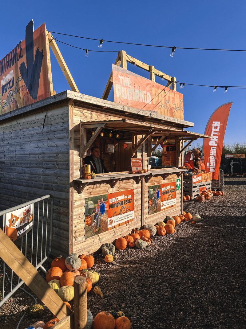 Foxes Farm Produce, Pumpkin Patch, Corn Maze, Colchester, England