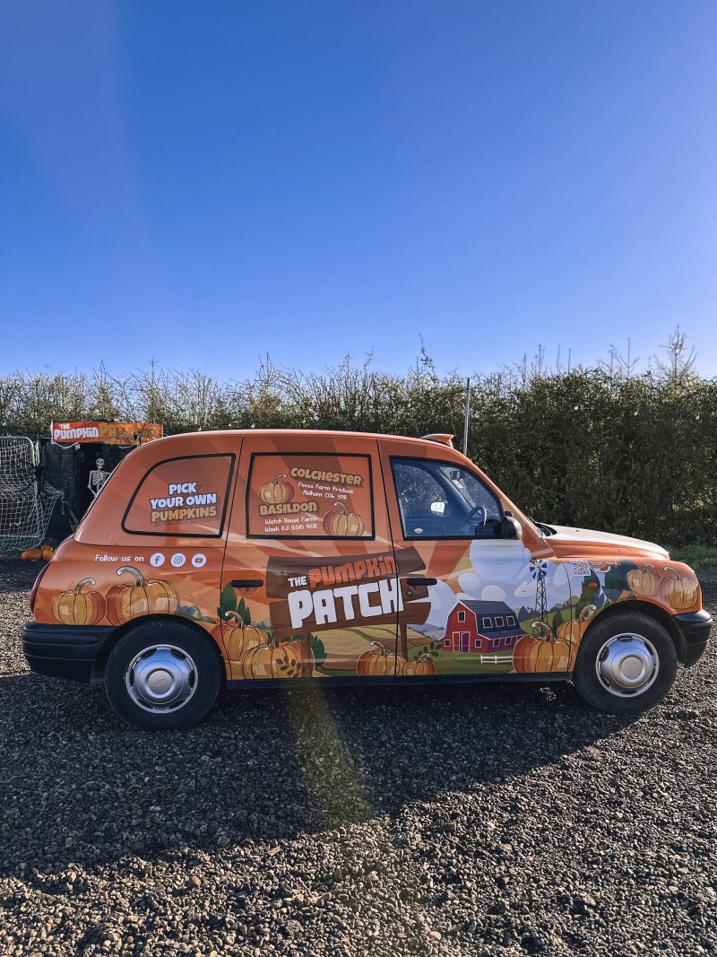 Foxes Farm Produce, Pumpkin Patch, Corn Maze, Colchester, England