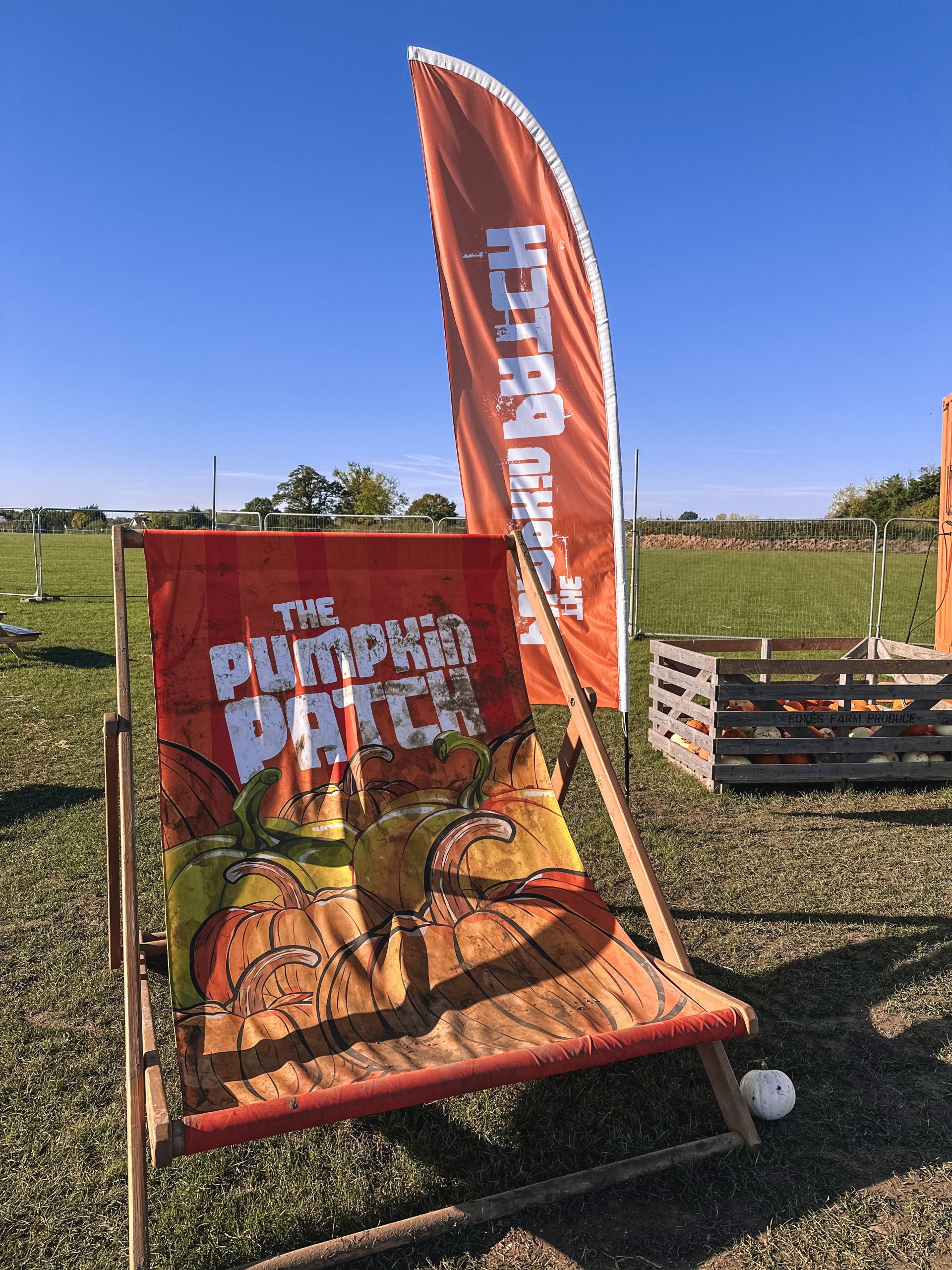 Foxes Farm Produce, Pumpkin Patch, Corn Maze, Colchester, England